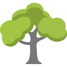 Lenexa Tree Removal