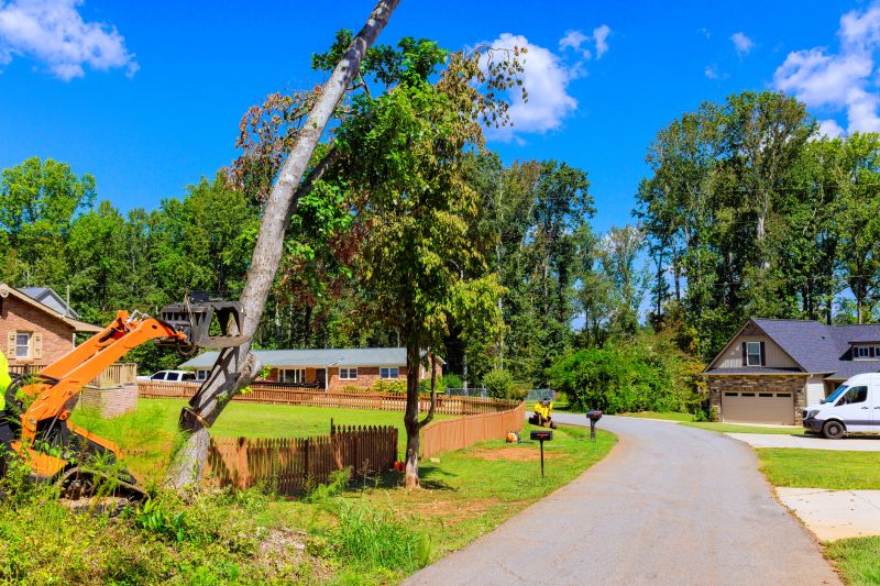 Budget-Smart Upgrades